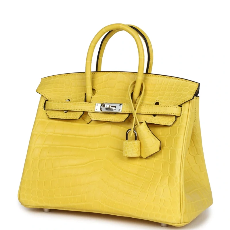 Hermès BIRKIN 25 CROCODILE NILOTICUS MATTE MIMOSA PHW B25CMM 4