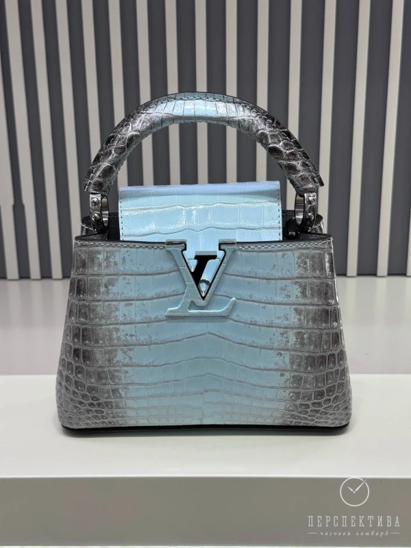 Louis Vuitton Capicine Bleu Himalaya CapucineHima 7