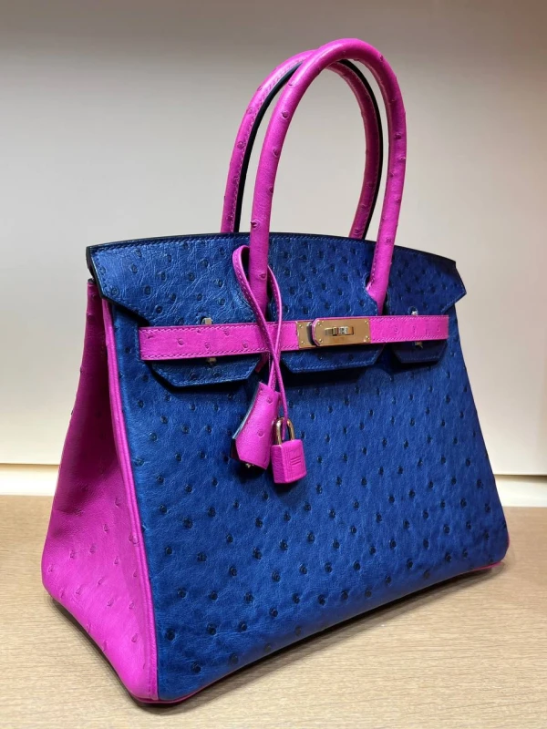 Hermès KELLY RETOURNE 25 OSTRICH CHAI GHW H068593CZ 5