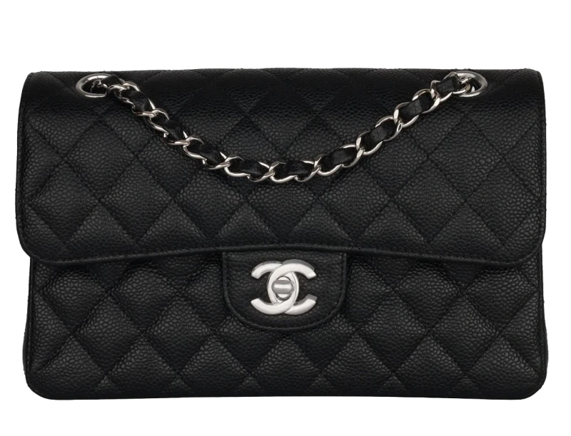 Chanel Classic Flap Bag Small Silver Hardware CHClSm 1