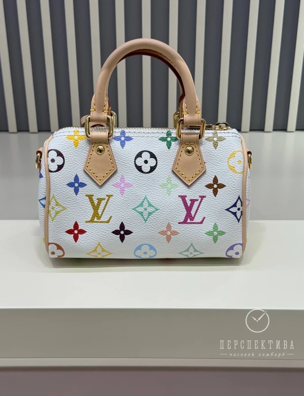 Louis Vuitton LV x TM Nano Speedy M13391 2