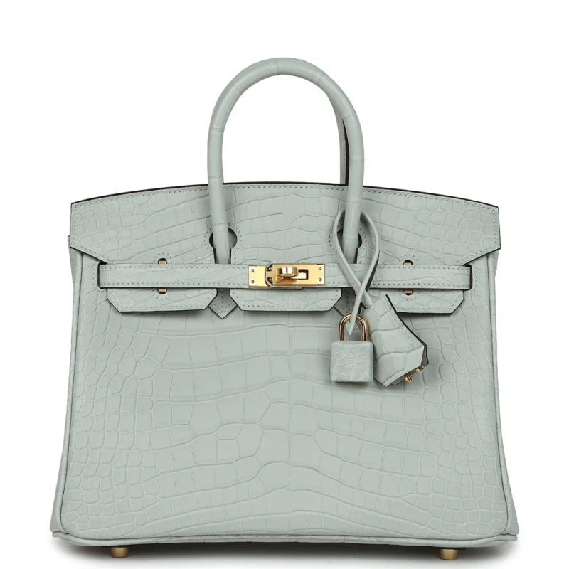 Hermès BIRKIN RETOURNE 25 ALLIGATOR MATTE GRIS NEVE GHW B25AMGN 2