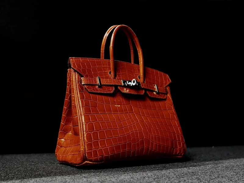 Hermès BIRKIN 25 CROCODILE NILOTICUS LISSE ORANGE PHW B25CNO 3