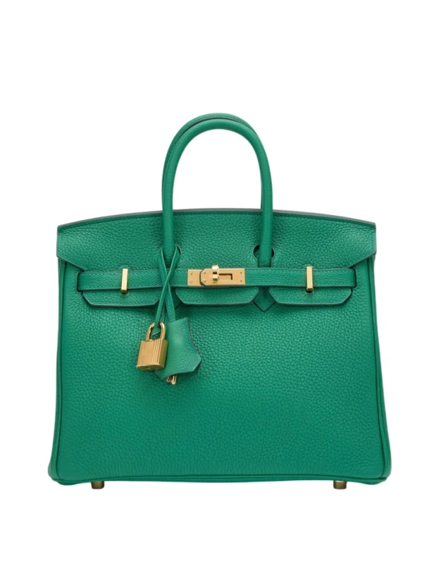Hermès BIRKIN 25 VEAU TOGO VERT VERTIGO GHW H041344CCU4 2