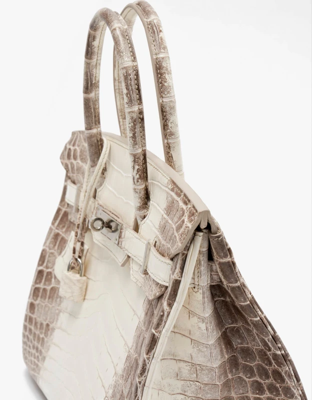 Hermès BIRKIN 30 CROCODILE NILOTICUS MATTE HIMALAYA PHW B30HIMA 7
