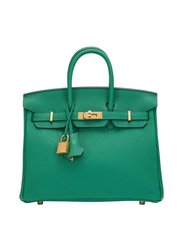 BIRKIN 25 VEAU TOGO VERT VERTIGO GHW