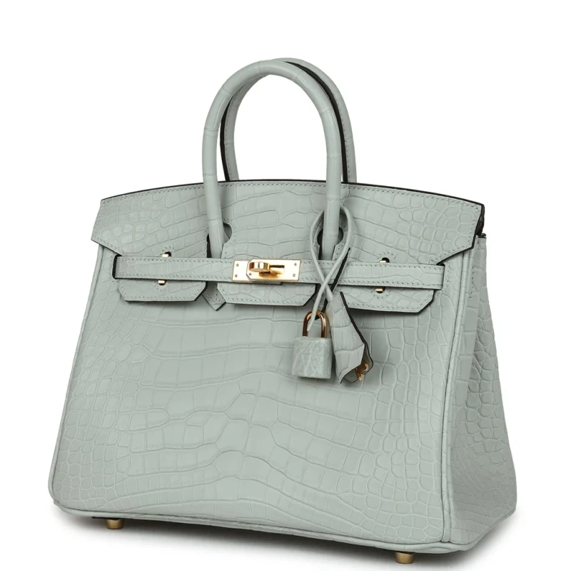 Hermès BIRKIN RETOURNE 25 ALLIGATOR MATTE GRIS NEVE GHW B25AMGN 5