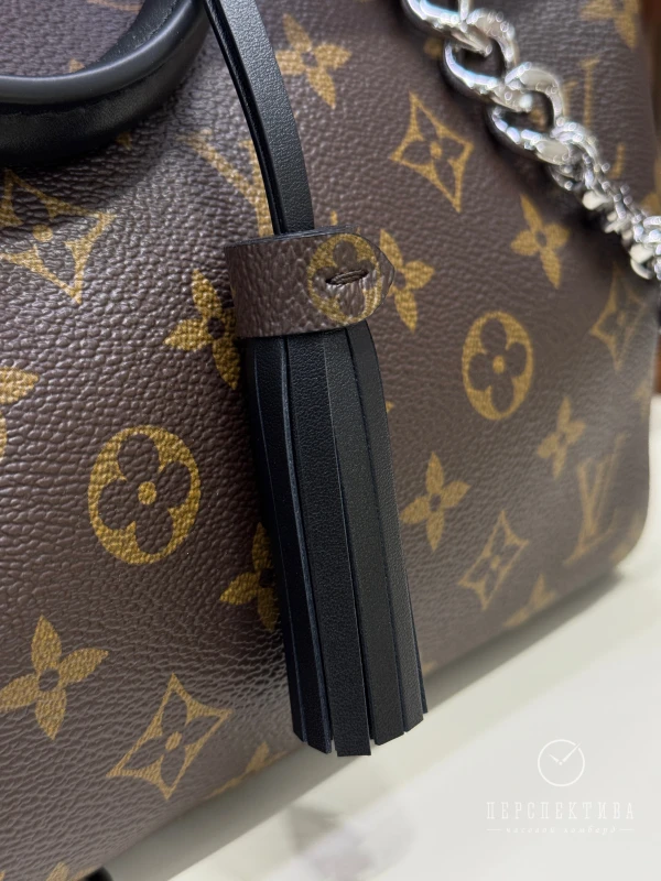 Louis Vuitton Сумка Speedy Soft 30 Dark M12243 4