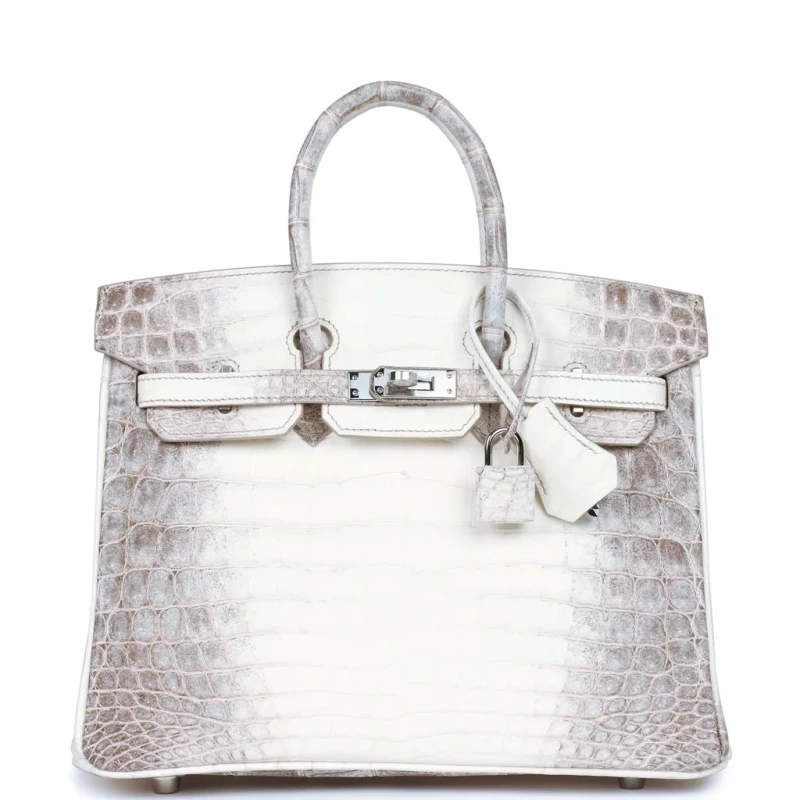 Hermès BIRKIN 25 HIMALAYA CROCODILE NILOTICUS PHW B25Himalaya 6