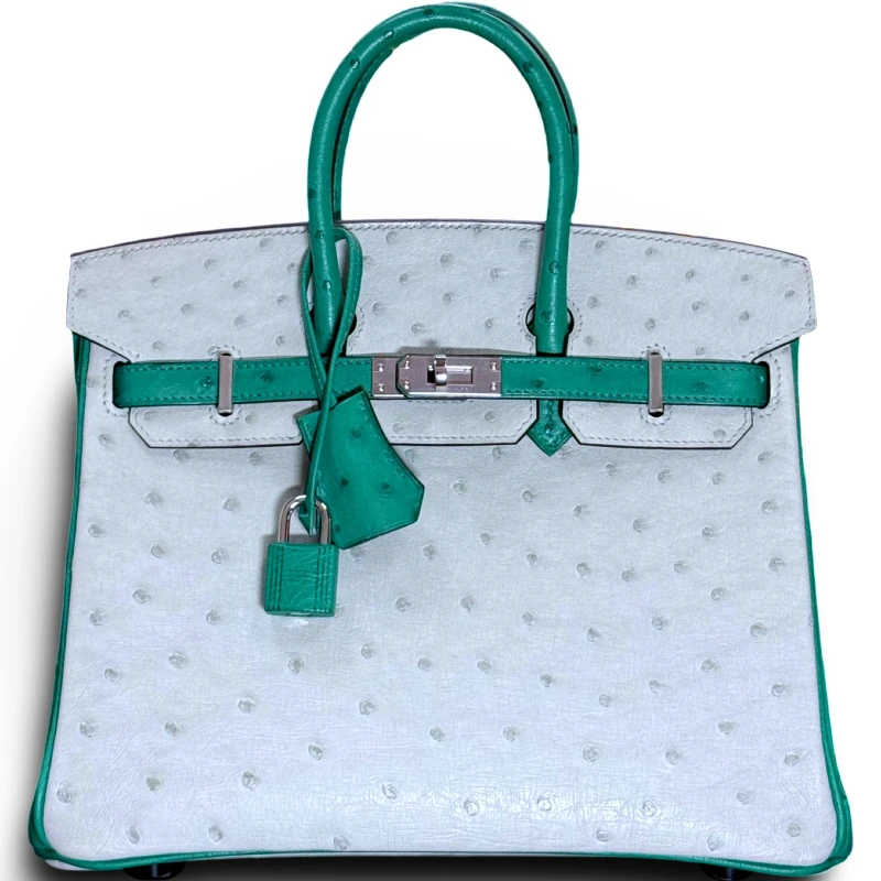 Hermès BIRKIN 25 AUTRUCHE SPECIAL ORDER HSS PHW B25HSS 1