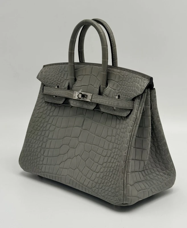Hermès BIRKIN 25 ALLIGATOR MATTE GRIS CIMENT PHW B25AMGC 2