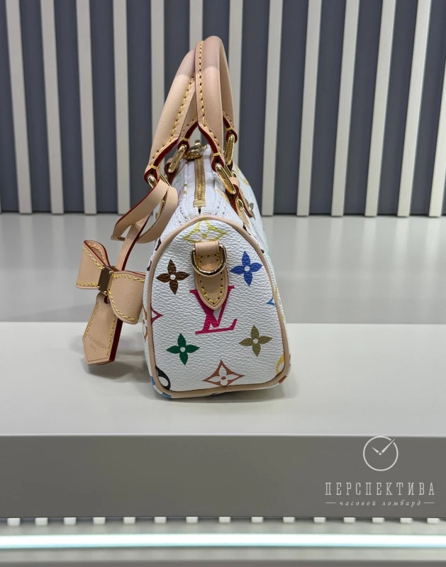 Louis Vuitton LV x TM Nano Speedy M13391 7