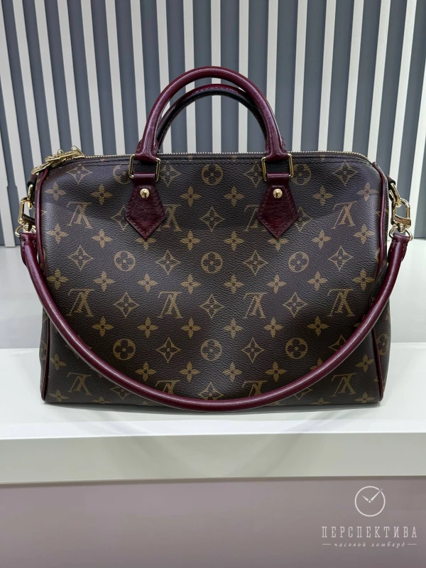 Louis Vuitton Speedy 30 Soft Celebration M28379 4