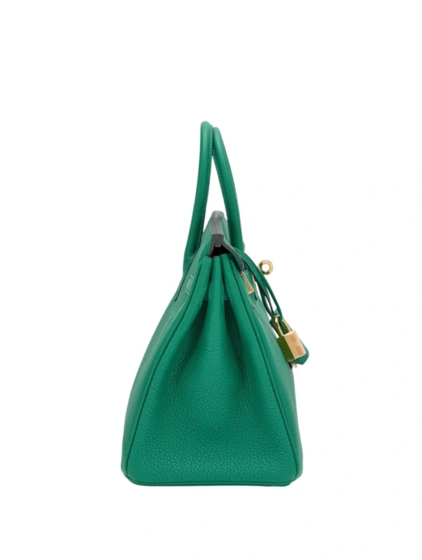 Hermès BIRKIN 25 VEAU TOGO VERT VERTIGO GHW H041344CCU4 4