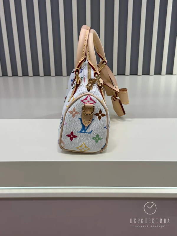 Louis Vuitton LV x TM Nano Speedy M13391 3