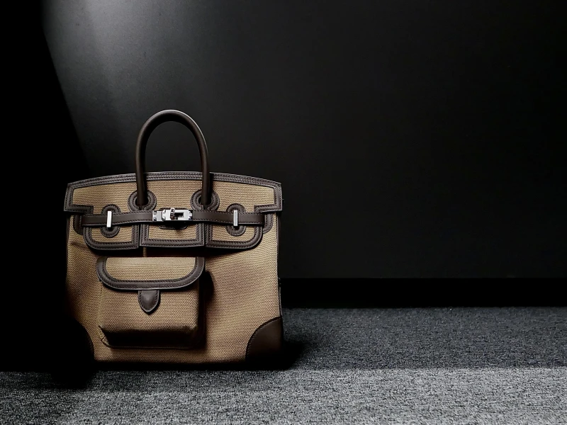 Hermès BIRKIN CARGO 25 VEAU SWIFT / TOILE MOUSSE / ECORCE PHW B25Cargo 2