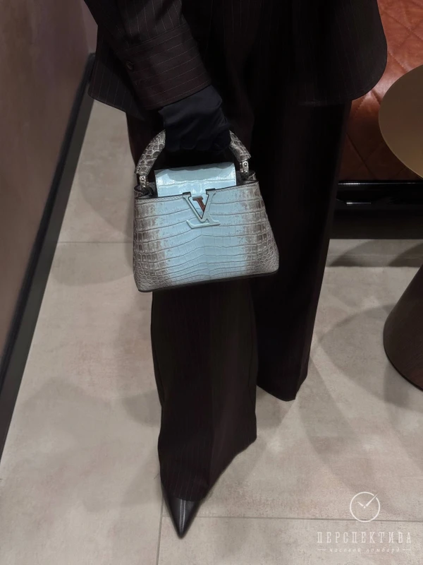 Louis Vuitton Capicine Bleu Himalaya CapucineHima 6