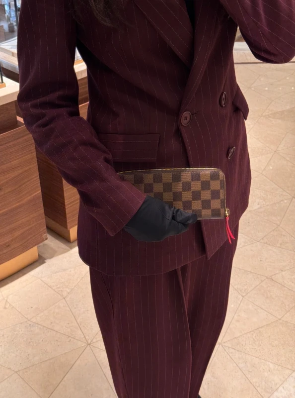 Louis Vuitton Clémence Wallet N60534 9
