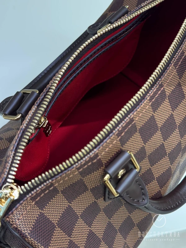 Louis Vuitton Speedy Bandoulière 25 N40575 7