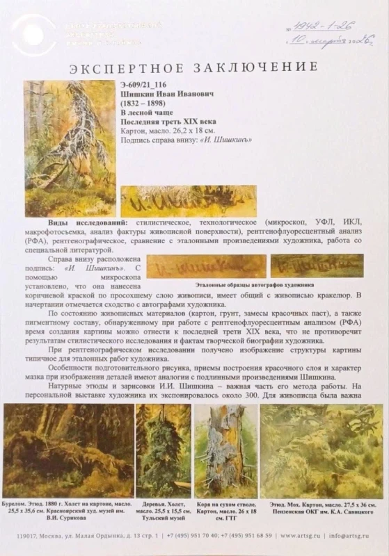 Шишкин И.И. "В лесной чаще" Последняя треть XIX века "В лесной чаще" 2
