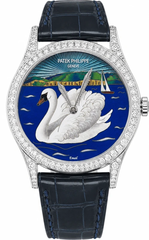 Cygne Blanc