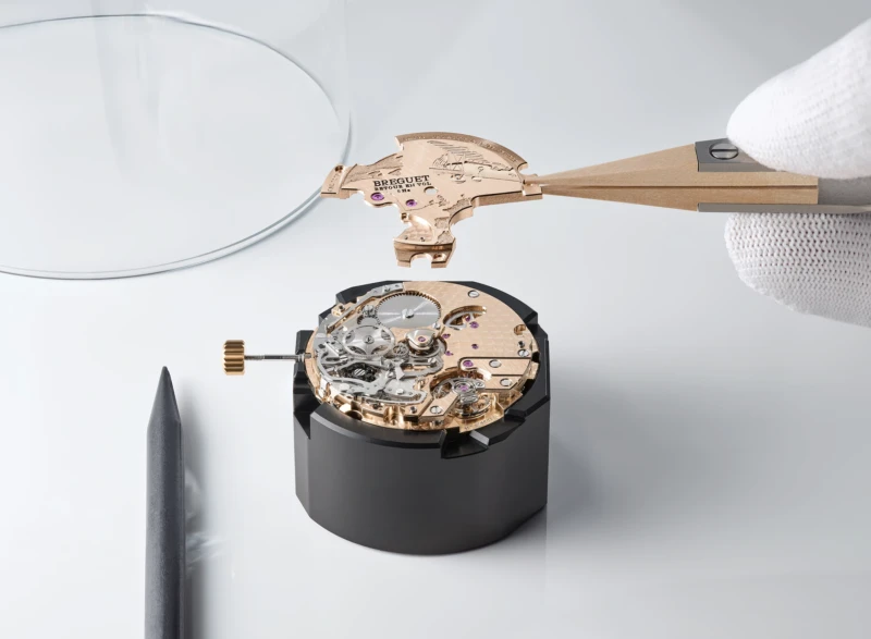 Breguet Type XX Chronographe 2075 2075BH/G9/398 6
