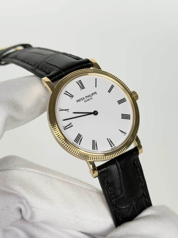 Patek Philippe 5120 5120J-001 2