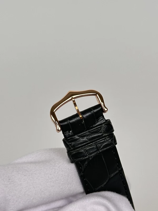 Cartier WGSA0032 8