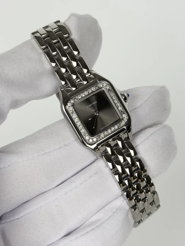 Cartier Small WSPN0006TUN 2