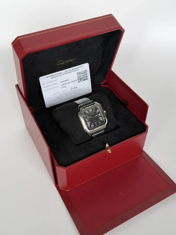 Cartier WSSA0096 5