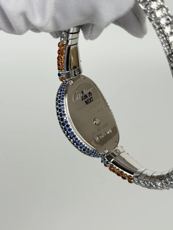 Cartier Exclusive XXL HPI01793 7