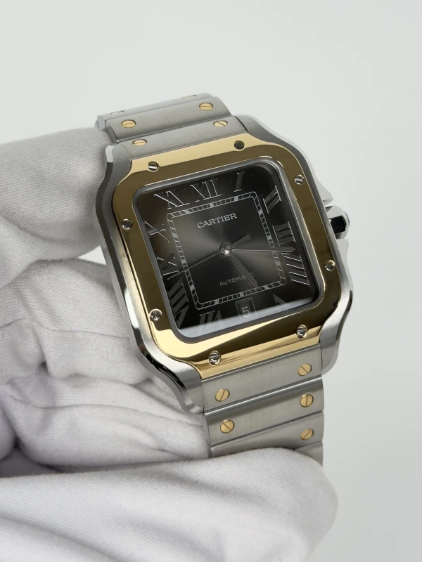 Cartier Large W2SA0030 3