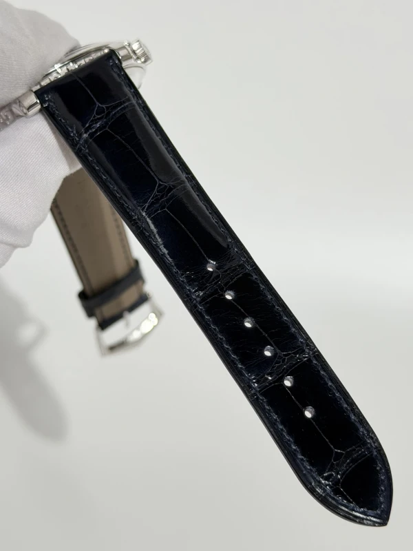 Patek Philippe 5102 Celestial Sky Moon 5102G-001 5