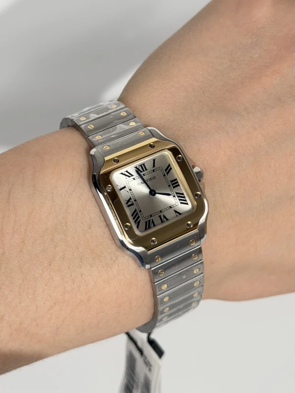 Cartier small model W2SA0033 4