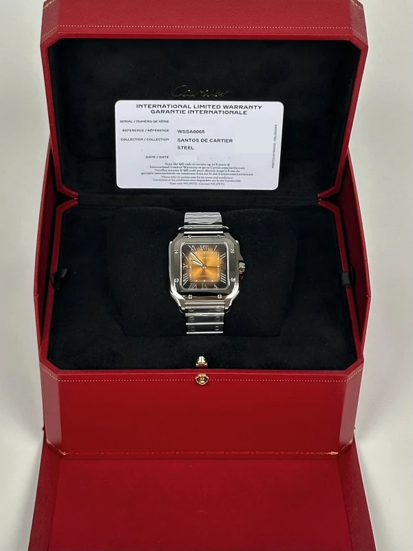 Cartier WSSA0065 9