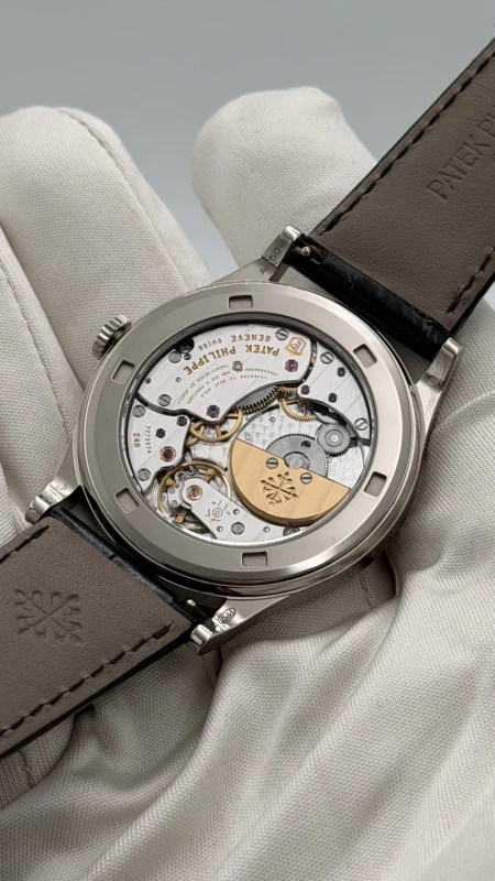 Patek Philippe Cloisonne Cacatoes Blue 5077/214G-001 7