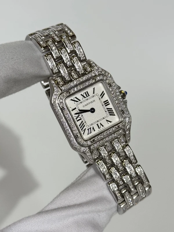 Cartier de Cartier WSPN0007 FIX 2