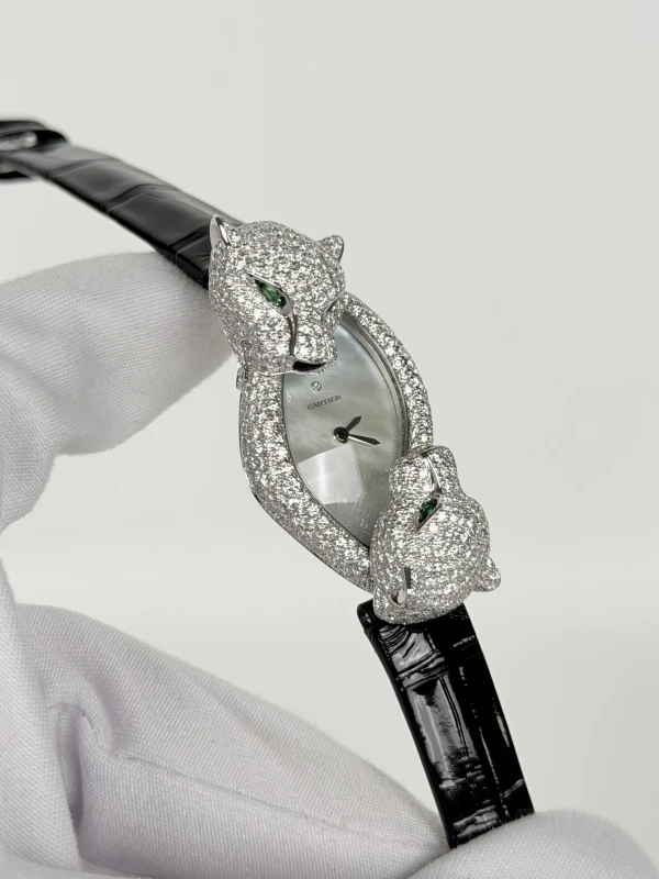 Cartier Panthère Crash HPI01758 5
