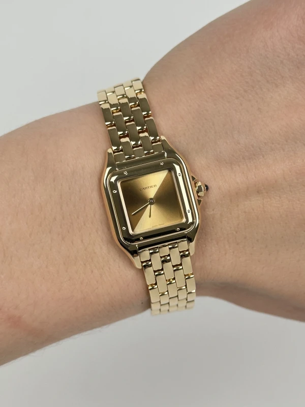 Cartier PANTHÈRE DE CARTIER WGPN0031 5