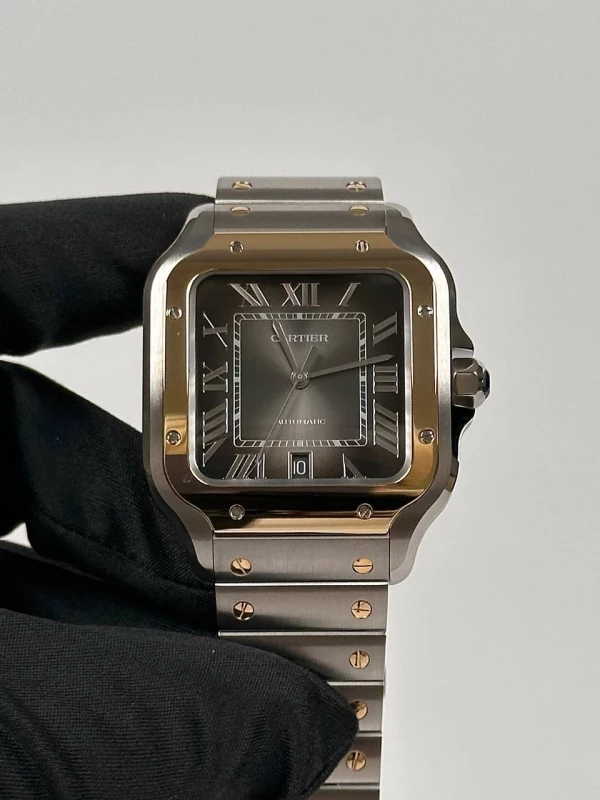 Cartier Large W2SA0030 3