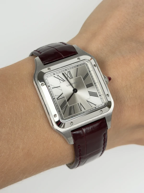 Cartier WGSA0034 6