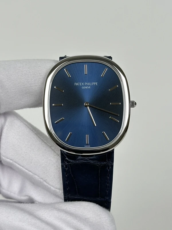 Patek Philippe 5738 5738P-001 2