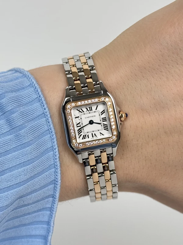 Cartier W3PN0006 5