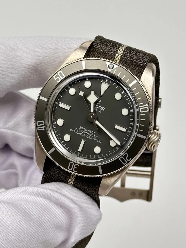 Tudor BLACK BAY 58 925 M79010SG-0001 4