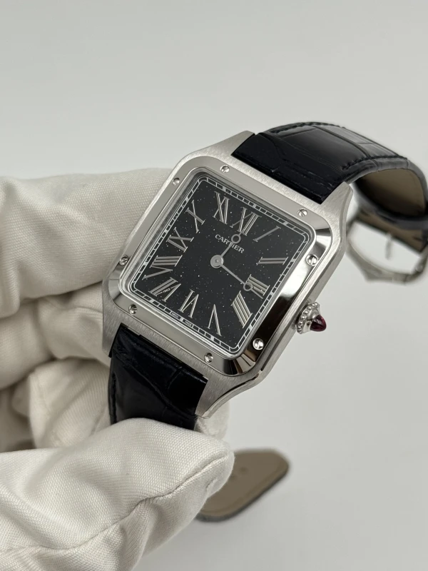 Cartier WGSA0099 3