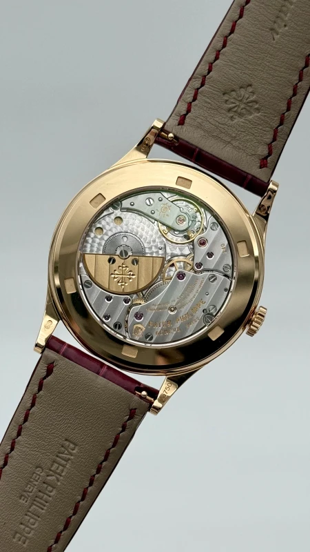 Patek Philippe Rare Handcrafts 5077/100R-042 7