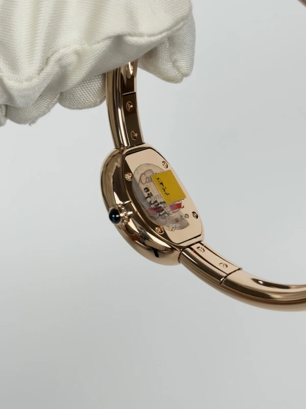 Cartier Mini mode WGBA0048 4