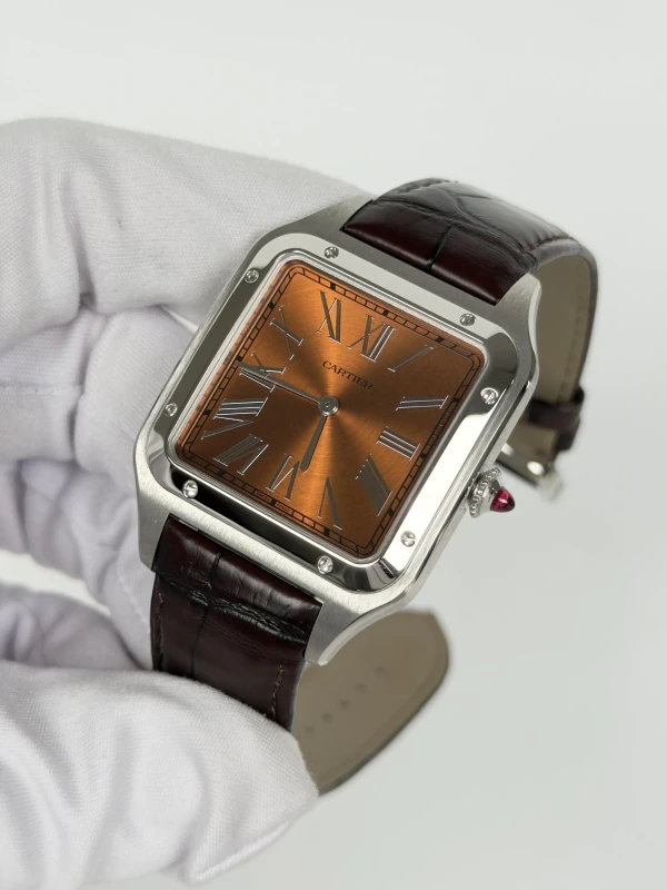Cartier WGSA0113 3