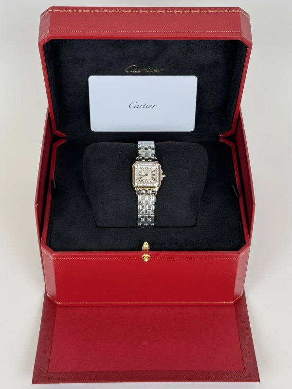 Cartier PANTHÈRE DE CARTIER SM W4PN0016 7