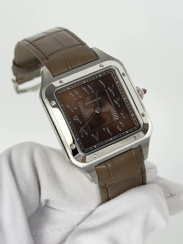 Cartier WGSA0114 3